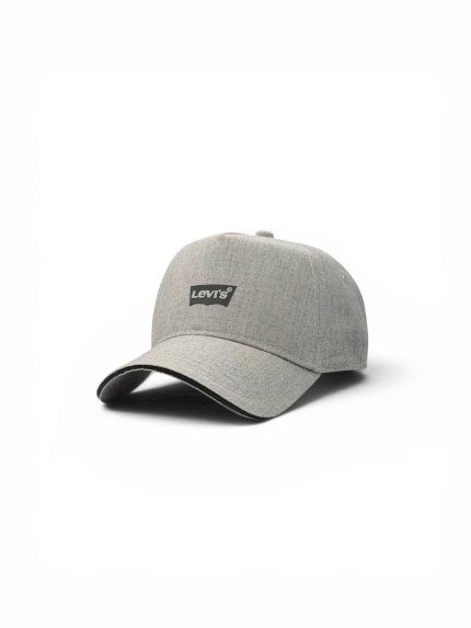 Бейсболка тракер "Lev`is Grey Coast Trucker | SS’26"